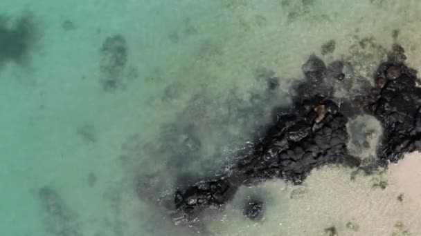 劇的なオーシャンバレエ 島の崖に衝突する波 モーリシャス島の海洋陛下のトップダウンドローンビュー 4Kシーケープブリス — ストック動画