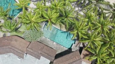 Palmiye Ağacı: Palmiye Ağaçlarıyla çevrili Kristal Mavi Su ile Havadan Aşağı Havuz Görünümü - Tropikal Tatil Kaçamağı - 4K Hava Videosu.