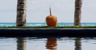 Tropikal içecek: Hindistan cevizine yakın plan, arka planda palmiye ağaçları ve Hint Okyanusu olan bir havuz kenarında bambu kamışı..
