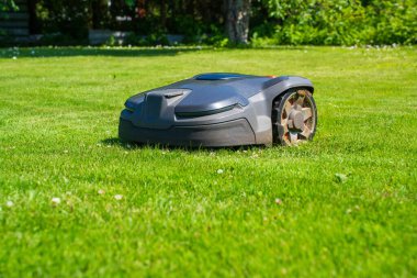 Bahçedeki Robotik Çim Biçme Makinesi Çimleri. Sunny Day 'de Yeşil Çimleri Koruyan Otomatik Çim Makinesi