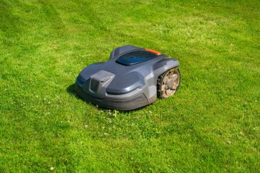 Sunlit Yard 'daki Modern Otomatik Çim Kesme Makinesi. Otonom Bahçe Bakım Teknolojisi.