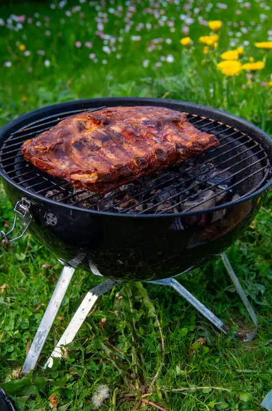 Arka bahçedeki Rack of Ribs 'in ağız sulandıran ızgarası. Mükemmel Jöleli Barbekü Et Sıcak Kömürlerin Üzerinde Cızırdıyor