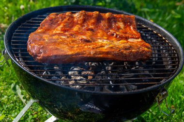 Arka bahçedeki Rack of Ribs 'in ağız sulandıran ızgarası. Mükemmel Jöleli Barbekü Et Sıcak Kömürlerin Üzerinde Cızırdıyor