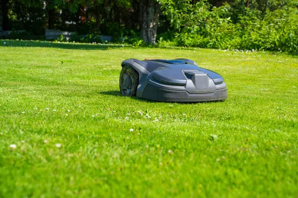 Sunlit Yard 'daki Modern Otomatik Çim Kesme Makinesi. Otonom Bahçe Bakım Teknolojisi.