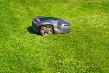 Sunlit Yard 'daki Modern Otomatik Çim Kesme Makinesi. Otonom Bahçe Bakım Teknolojisi.