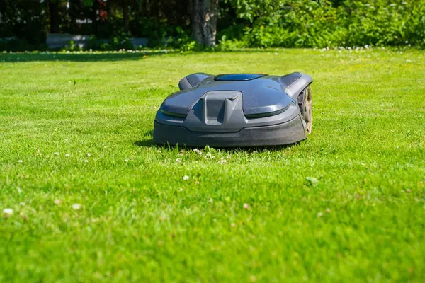 Sunlit Yard 'daki Modern Otomatik Çim Kesme Makinesi. Otonom Bahçe Bakım Teknolojisi.