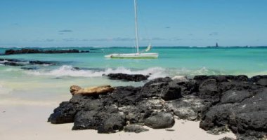 Muhteşem Belle Mare Sahil Manzarası Hint Okyanusu 'nda Turkuaz Su ve Tekneler Mauritius Adası Seyahat ve Tatil Konsepti - 4K