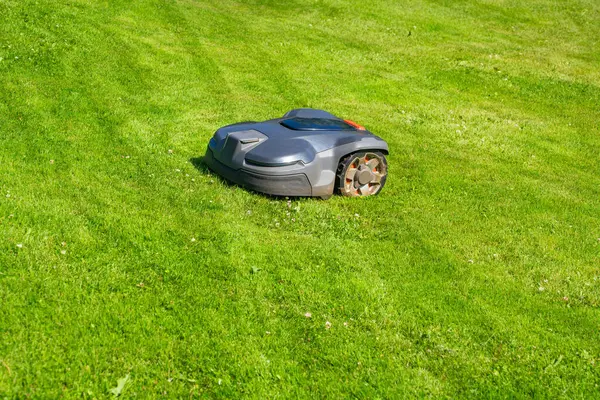 Sunlit Yard 'daki Modern Otomatik Çim Kesme Makinesi. Otonom Bahçe Bakım Teknolojisi.
