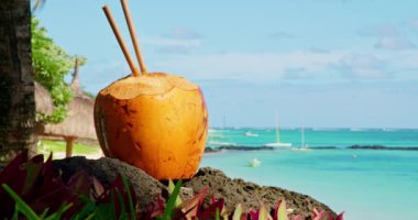 Tropik Cennet: Plajdan taze hindistan cevizi içeceği 
