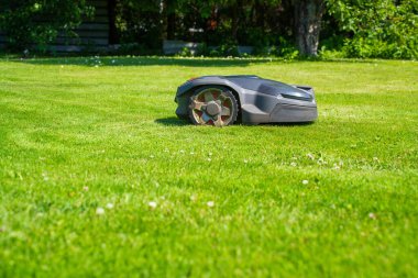 Sunlit Yard 'daki Modern Otomatik Çim Kesme Makinesi. Otonom Bahçe Bakım Teknolojisi.