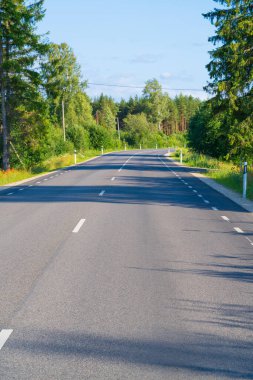 Manzaralı Country Road Journey: Düz Asfalt Yoğun Orman Kesimi. Huzurlu Yaz Gezintisi İyi Bakılmış Kırsal Yol Çevrelenmiş Doğa