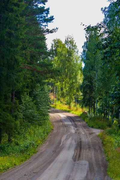 Fin ormanlarının içinden geçen toprak yol. Finlandiya 'nın el değmemiş vahşi doğası ve kırsal çekiciliğinin sergilendiği sakin yaz manzarası