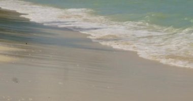 Tranquil Mauritius Plajı: Huzurlu Mauritius Sahili: Serene Sahili 'nin 4K' daki Düşük Açı Manzarası - Dalgalar Dinlenme ve Tropikal Titreşimler İçin Kıyı Şeridine Vuruyor