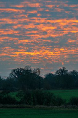 Kırsal arazide dramatik turuncu Altokümülüs bulutlarıyla muhteşem İngiliz Kış Şafağı. Siluetli ağaçlar ve yeşil tarlalar göz kamaştırıcı bir Birleşik Krallık gündoğumu gökyüzünün altında dağınık parlayan bulutlarla