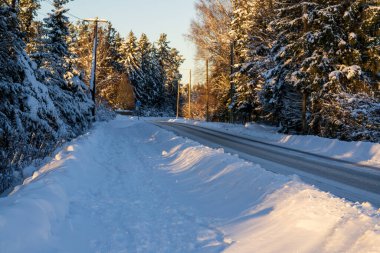 Altın gün batımında karla kaplı kırsal yol. Kış manzarası, kıvrımlı köy yolu boyunca karla kaplı yeşil ağaçlar ve elektrik direkleriyle dolu.