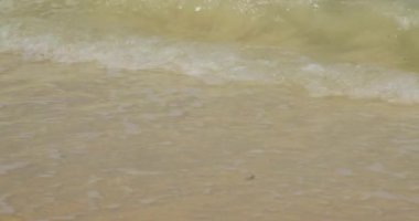 Tranquil Mauritius Plajı: Huzurlu Mauritius Sahili: Serene Sahili 'nin 4K' daki Düşük Açı Manzarası - Dalgalar Dinlenme ve Tropikal Titreşimler İçin Kıyı Şeridine Vuruyor