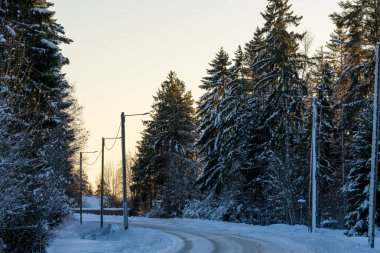 Sunset 'teki Karla Kaplanmış Orman' da Kış Yolu. Köy yolu. Elektrik hatları var. Devamlı yeşil ağaçlar arasında dolanıyor.
