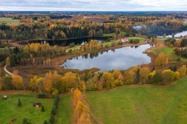 Kırsal bölgedeki sakin gölleri çevreleyen sonbahar yaprakları. Sonbahar ormanlarının hava aracı görüntüsü, altın ağaçlar, huzurlu su yansımaları ve dağınık tarım arazileri.