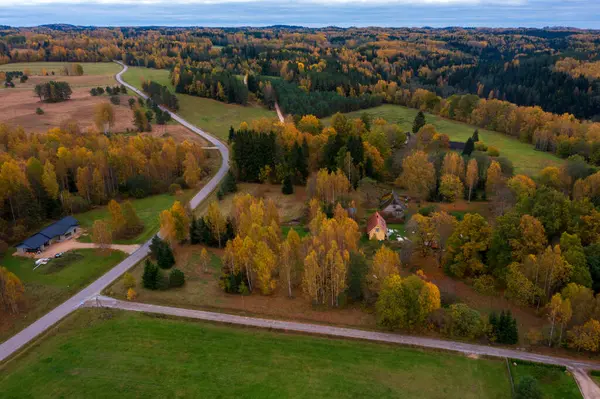Kırsal kesimin hava manzarası kırsal bölgedeki renkli sonbahar ormanlarının içinden geçiyor. Dağınık evler ve yukarıdan yeşil alanlar altın sonbahar yapraklarıyla çevrili