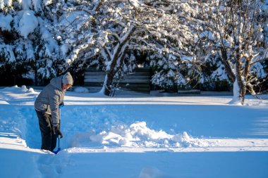 Kış mevsiminde Arka Bahçe Yolu 'ndan Kıdemli Kadın Karı Temizliyor. Kış mevsiminde karla kaplı ağaçlarla mülkün bakımını yapan yaşlı bir kişi