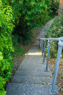 Concrete stairway with metal handrail descending through lush green garden vegetation. Outdoor stone steps with safety railing surrounded by dense foliage, trees and plants in a natural park setting