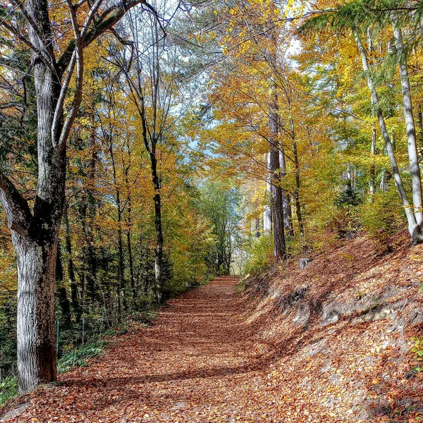 stock image Autumn in the southern area of Germany called Swabian Alb