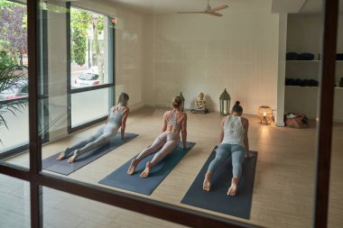 Spor kıyafetleri içinde çıplak ayaklı bayan sporcuların spor salonunda yoga yaparken gri minderlere poz vermeleri.