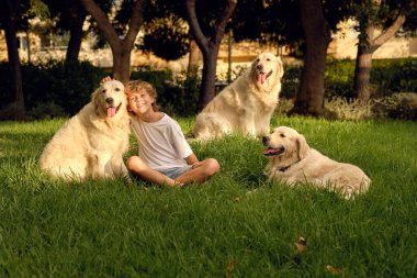 Mutlu, çocukluk çağındaki bir çocuk dost canlısı Golden Retriever köpekleriyle çimenlerde oturur ve güneşli yaz parkında güneşli bir günün tadını çıkarırken kameraya bakar.