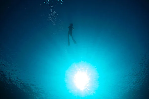 Silhueta Mergulhador Irreconhecível Usando Chinelos Mergulho Nadando Oceano Azul Durante — Fotografia de Stock