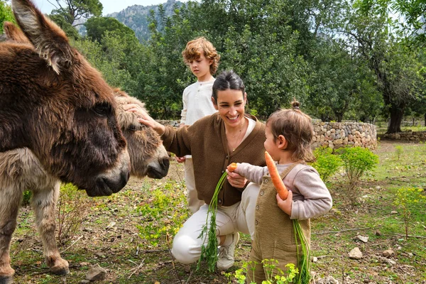 Happy Ethnic Mother Cute Kids Stroking Feeding Funny Donkeys Carrots — Stock Photo, Image