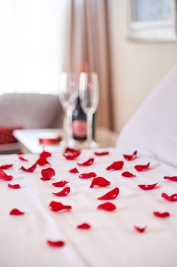 Dağılmış kırmızı gül yaprakları ve otel odasındaki komodinin üzerine yerleştirilmiş bir şişe şampanya eşliğinde balayı için hazırlanmış rahat bir yatak.