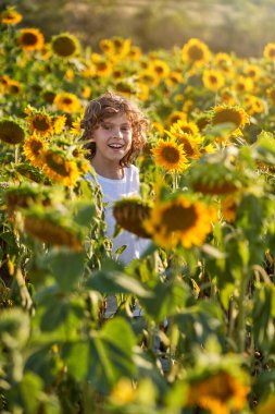 Beyaz tişörtlü, tarlada açan ayçiçeklerinin yanında duran ve gün ışığında kameraya bakan sevimli, sevimli bir çocuk.