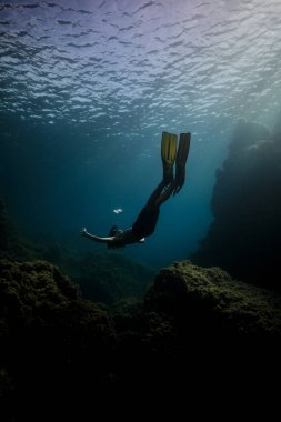 Dalgıç kıyafetli ve şnorkel maskeli tanımlanamayan erkek dalgıcın tüm vücudu mercan yakınında derin deniz suyunda yüzüyor.