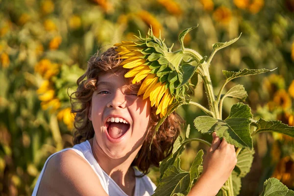 Fröhliches Kind Mit Lockigem Haar Steht Inmitten Blühender Sonnenblumen Auf — Stockfoto