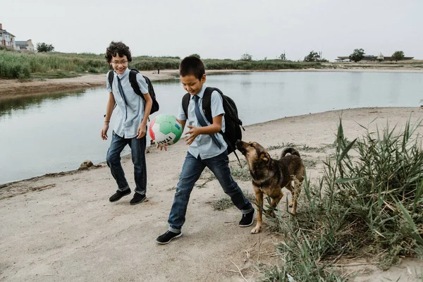 光天化日之下 穿着校服 背着背包走路 与球和可爱的狗在湖边玩耍的一肚子顽皮的男孩子们 — 图库照片