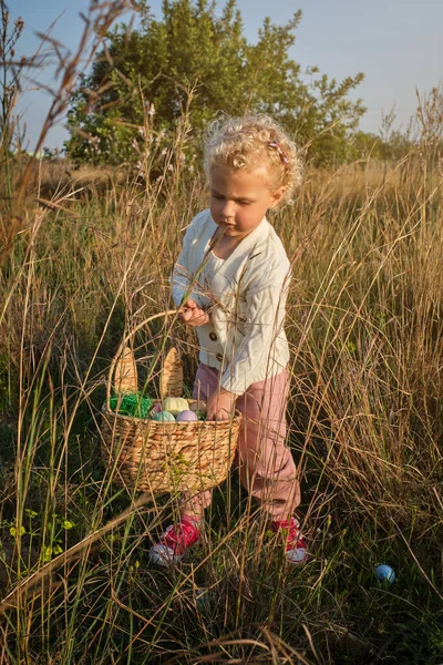 Αστείο Κοριτσάκι Λευκό Πουλόβερ Που Συλλέγει Βαμμένα Πασχαλινά Αυγά Ψάθινο — Φωτογραφία Αρχείου