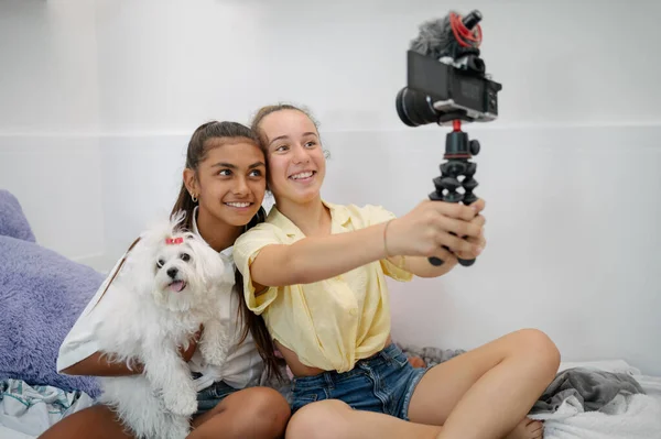 Cheerful Diverse Teen Female Friends Sitting Bed Dog Taking Selfie — Stock Photo, Image