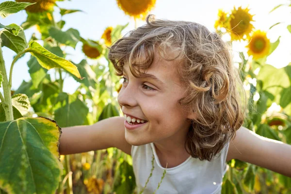 여름날 해바라기 사이에 곱슬머리를 미소짓고 시선을 돌리는 장난기있는 어린이 — 스톡 사진
