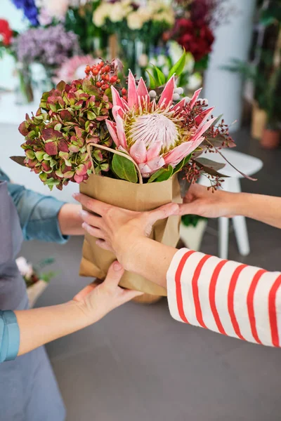 female florist giving bouquet of blooming protea and hydrangea in paper bag to unrecognizable client in floral shop
