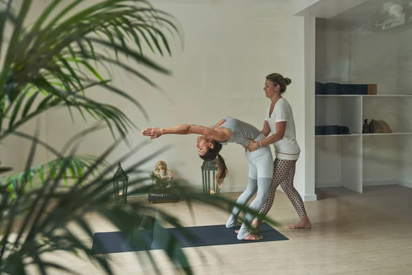 在现代带绿色棕榈树的瑜伽课上 赤脚女教练帮助女性做乌尔德瓦 达努拉萨纳的全身侧视图 — 图库照片