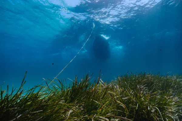 Vista Subaquática Mar Azul Profundo Com Plantas Verdes Fundo Iate — Fotografia de Stock