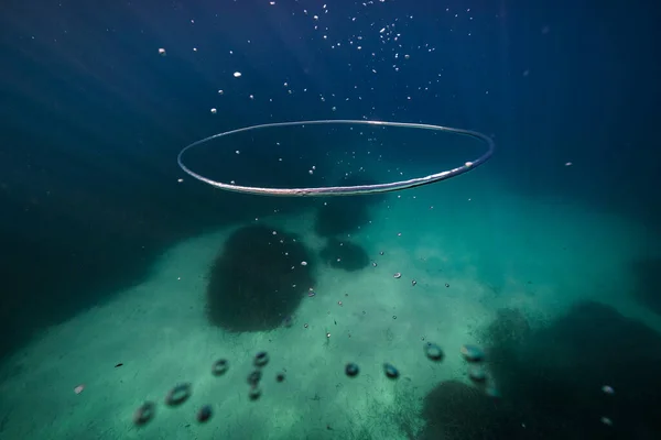 Ringförmige Schildkrötenblase Die Sonnigen Tagen Unter Wasser Des Klaren Blauen — Stockfoto