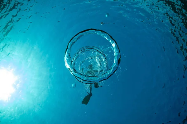 Bovenaanzicht Van Onherkenbare Mannelijke Toerist Zwemvliezen Onder Transparant Blauw Water — Stockfoto