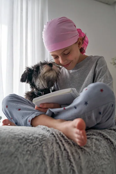 在沙发上写着乳腺癌认知活动粉红绷带的笑男孩瘦小的施诺泽犬嗅嗅脸 — 图库照片