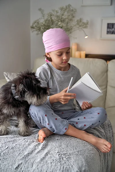 Barefoot boy in pajama and pink headscarf symbol of breast cancer awareness movement opening notepad while sitting on comfortable sofa near Miniature Schnauzer dog in living room