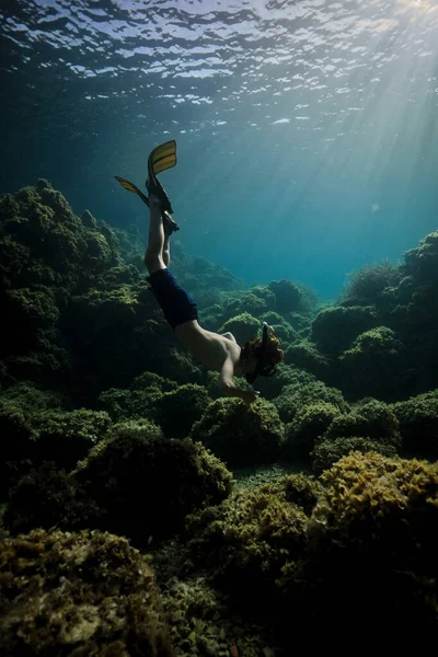 Visão Lateral Corpo Inteiro Homem Anônimo Máscara Mergulho Nadadores Nadando — Fotografia de Stock