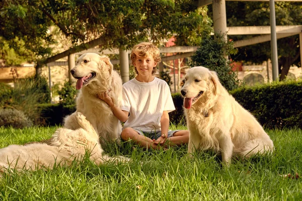 Zufriedener Junge Streichelt Süße Golden Retriever Hunde Während Sonnigen Tagen — Stockfoto