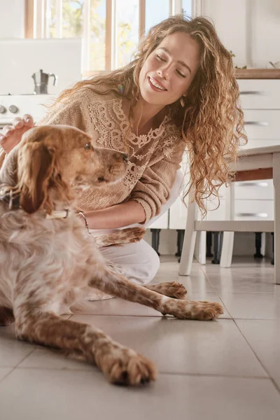 Positive Young Woman Long Curly Hair Petting Adorable Spaniel Dog — Stock Photo, Image