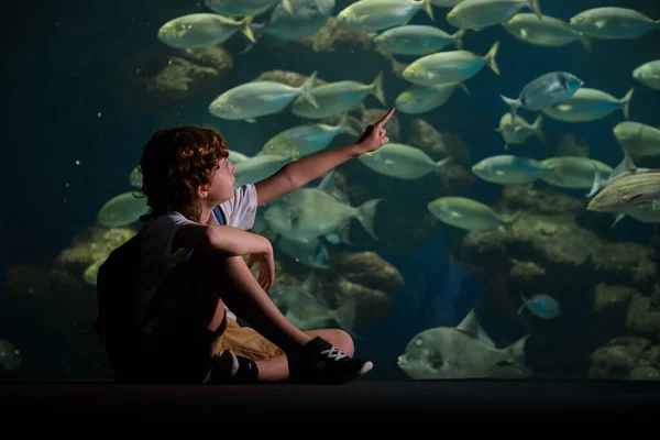 Vue Latérale Enfant Assis Près Grand Aquarium Pointant Doigt Des — Photo