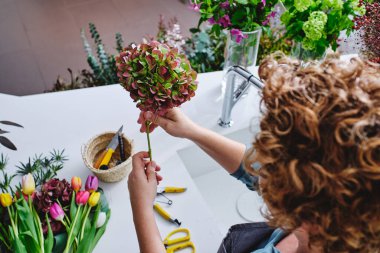Çiçekçide buket yaparken elinde bir demet ortanca tutan ve saplarını kesen kısa kıvırcık saçlı kadın çiçekçinin tepesinden.